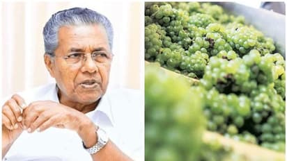 തോട്ടങ്ങളില്‍ ഫലവൃക്ഷകൃഷി അനുവദിക്കുന്നത് പരിഗണിക്കും: മുഖ്യമന്ത്രി