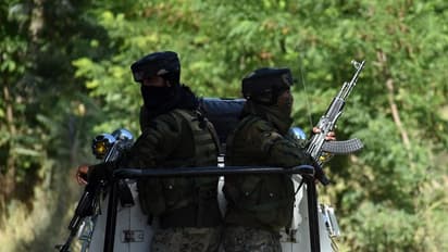 जम्मू-कश्मीर में सुरक्षाबलों को बड़ी सफलता, हिजबुल मुजाहिदीन का आतंकवादी जिंदा पकड़ा गया, खुलेंगे कई राज