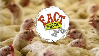 മധ്യപ്രദേശില് കോഴികളില് കൊറോണ സ്ഥിരീകരിച്ചോ?