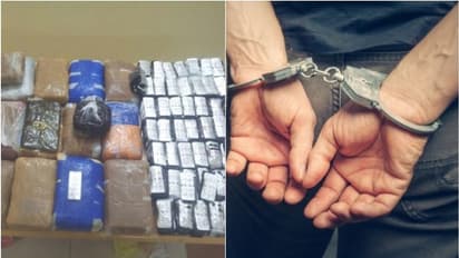 350 കിലോ മയക്കുമരുന്നുമായി വിദേശി ഒമാനില് പിടിയില്