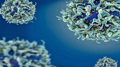 ಕೊರೋನಾ ಮಧ್ಯೆ ಗುಡ್‌ ನ್ಯೂಸ್: ಇನ್ಮುಂದೆ ಒಂದೇ ವಾರದಲ್ಲಿ ಗುಣವಾಗುತ್ತೆ ಮಾರಕ ಕ್ಯಾನ್ಸರ್!