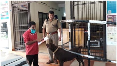 ഇവള് സൂസി, നെയ്യാറ്റിന്കര പൊലീസ് സ്റ്റേഷനിലെ കാവല്ക്കാരി