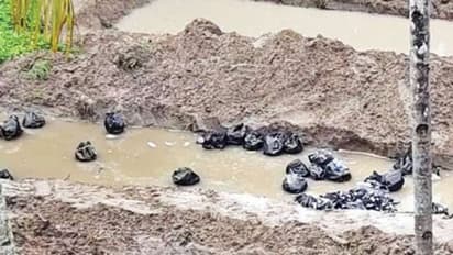 ക്വാറന്റീന് കേന്ദ്രങ്ങളിലെ മാലിന്യം ജനവാസകേന്ദ്രത്തില് തള്ളി; പ്രതിഷേധവുമായി നാട്ടുകാർ