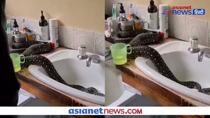 తప్పిన ప్రమాదం...భారీ వర్షాలతో బాత్రూంలోకి చేరిన ఐదడుగుల కొండచిలువ