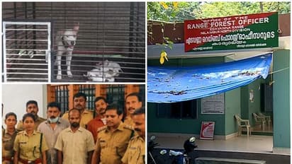 വേട്ടനായ്ക്കളെ ഉപയോഗിച്ച് നായാട്ട്,  ഓണ്‍ലൈന്‍ വഴി വില്‍പ്പന; നിലമ്പൂരില്‍ മൂന്ന് പേര്‍ പിടിയില്‍