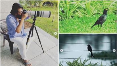 മുറ്റത്തൊരു മൈന! തന്നിലെ ഫോട്ടോഗ്രാഫറെ പൊടിതട്ടിയെടുത്ത് മമ്മൂട്ടി