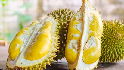 ചീഞ്ഞ മണം തലയ്ക്ക് പിടിച്ച് 12 പേര് ആശുപത്രിയിലായി; വില്ലനായത് ഈ പഴം...