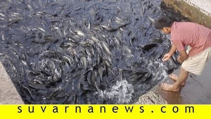 ಶಿಶಿಲೇಶ್ವರ ಮತ್ಸ್ಯ ತೀರ್ಥ ಕ್ಷೇತ್ರಕ್ಕೇ ಮೀನು ಹಿಡಯಲು ಬಂದ್ರು..!