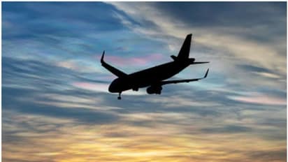 രാവിലെ 10.45, വിമാനത്തിൽ 167 യാത്രക്കാരും 6 ജീവനക്കാരും; ടേക്ക് ഓഫിനിടെ കയോട്ടിയെ ഇടിച്ചു, ഉടൻ തിരിച്ചു പറന്നു