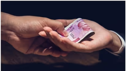 എരുമക്കുട്ടിയുടെ പോസ്റ്റുമോർട്ടം നടത്താൻ  1000 രൂപ കൈക്കൂലി; മൃഗഡോക്ടറെ കൈയ്യോടെ പൊക്കി വിജിലൻസ്