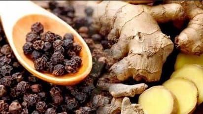 Health Tips: கொலஸ்ட்ரால் பிரச்சனைக்கு எமனாகும் கருமிளகு...தினமும் எப்படி சாப்பிட வேண்டும் தெரியுமா..?
