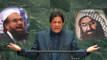 'নিরাপদ আশ্রয়স্থল', ইমরান খানের মিথ্যার বেলুন ফাঁসিয়ে দিলেন ডোনাল্ড ট্রাম্প