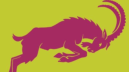 মকর রাশির কতটা উন্নতি হবে আশ্বিন মাসে, দেখে নিন