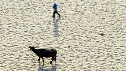 ഇന്ത്യയുടെ പുതിയ കാലാവസ്ഥാ റിപ്പോര്ട്ടിലുള്ളത് ഞെട്ടിക്കുന്ന വിവരങ്ങള്