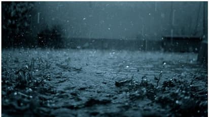 Karnataka: IMD issues red alert in Kodagu; extremely heavy rains expected