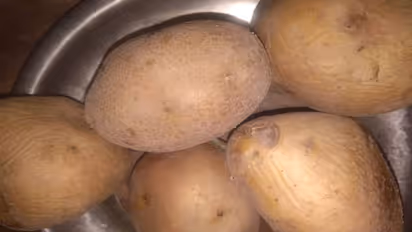 घर पर झटपट बनाएं मुंबई स्टाइल वडा पाव, ठेले वाले भैया की आ जाएगी याद