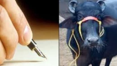 'അമ്മയ്ക്ക് വയ്യ, വീട്ടില്‍ എരുമയെ നോക്കാനാളില്ല'; വിചിത്രമായ ലീവ് അപേക്ഷയുമായി പൊലീസുകാരന്‍