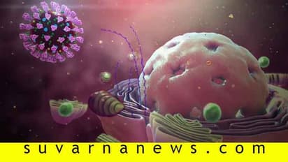 ಆಷಾಢದಲ್ಲಿ ಹೆಚ್ಚಾಗುತ್ತೆ ಕೊರೋನಾ, ಪಾರಾಗೋದೇನೂ ಕಷ್ಟವಲ್ಲ ಬಿಡಿ...