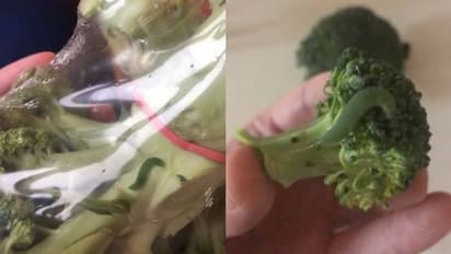 കടയില് നിന്ന് വാങ്ങിയ പച്ചക്കറിയില് പുഴു; കളഞ്ഞില്ല, പകരം ചെയ്തത്...