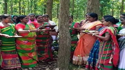 तीन पेड़ों की जिंदगी बचाने के लिए सड़क पर उतर आया पूरा मोहल्ला, महिलाओं ने पेड़ों को बांधी राखी