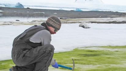 കാലാവസ്ഥ വ്യതിയാനം: അന്റാര്‍ട്ടിക്കയില്‍  പച്ചനിറത്തിലുള്ള ഹിമാനികള്‍