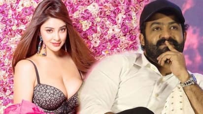 పెద్ద సినిమాలు రావాలంటే బెడ్ రూమ్ కి వెళ్లాల్సిందే... ఎన్టీఆర్ హీరోయిన్ పాయల్ సంచలన కామెంట్స్ 