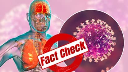 করোনার মধ্যেই ছড়াচ্ছে নিপা ভাইরাস, সত্যিই কি এমন 'সতর্কতা' জারি করল বিশ্ব স্বাস্থ্য সংস্থা