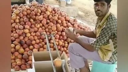 'വല്ലാത്ത ബുദ്ധി തന്നെ'; പഴക്കച്ചവടക്കാരന്റെ 'ടെക്നോളജി'ക്ക് ട്വിറ്ററില് കയ്യടി