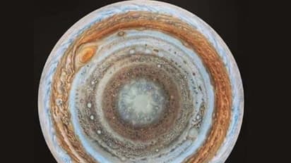 ഇത് വ്യാഴമോ അതോ ദോശയോ, ട്വിറ്ററില് അടിപിടി കൂടി ഫുഡ്ഡീസ്