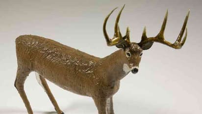 కృష్ణ జింకల వేట కేసులో సంచలన విషయాలు: హైద్రాబాద్ నుండి షార్ప్ షూటర్లు