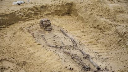 ದಕ್ಷಿಣ ಭಾರತದಲ್ಲಿ ನಾಗರಿಕತೆ ಕುರುಹು, ವಯಸ್ಕ ಅಸ್ತಿಪಂಜರ ಪತ್ತೆ!