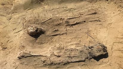 একটি কঙ্কাল, আর সেটাই নাকি জট খুলবে ৪১ হাজার বছর আগের পাথরের যুগের রহস্যের