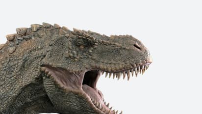 ദിനോസറുകള് എങ്ങനെ 'ഭൂമിയിലെ രാജക്കന്മാരായി വാണൂ' ; പുതിയ തെളിവുകള് ഇങ്ങനെ