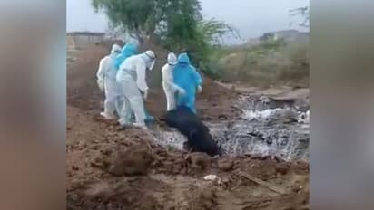 కరోనా రోగులపై నిర్దయ: ఒకే గుంతలో 8 మృతదేహాలు విసిరి, చేతులు దులుపుకెళ్లారు