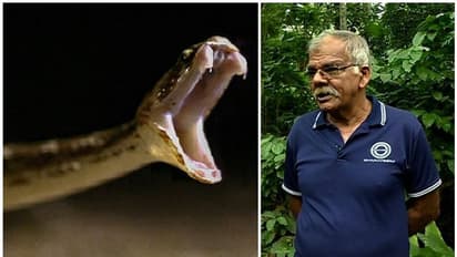 പറമ്പിലോ പരിസരത്തോ പാമ്പുണ്ടെങ്കില് കൊത്തുറപ്പ്; 35 തവണ പാമ്പുകടിയേറ്റ് ഈ വയനാട്ടുകാരന്