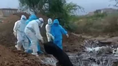 കർണാടകത്തില് നിന്നും ഞെട്ടിക്കുന്ന ദൃശ്യങ്ങൾ; മൃതദേഹങ്ങൾ കൂട്ടത്തോടെ കുഴിയില് തള്ളി