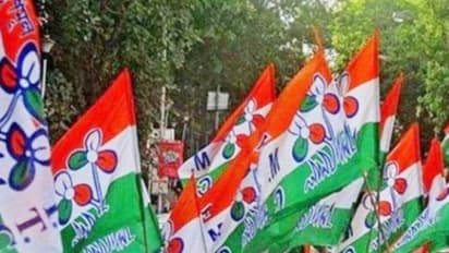 একশো দিনের প্রকল্পের টাকা 'আত্মসাৎ', তৃণমূলের পঞ্চায়েত প্রধানের অভিযোগ দলেরই নেতার