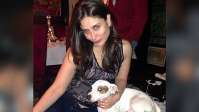 করিনার লাল চোখ, বন্ধুর গায়ে সোনমের ঢোলে পড়া, মদ্যপ অবস্থায় ভাইরাল বলি-সুন্দরীরা