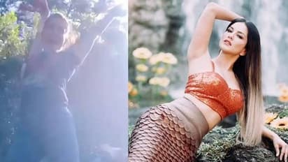 സന്തോഷിച്ച് തുള്ളിച്ചാടി സണ്ണി ലിയോൺ; വൈറലായി വീഡിയോ