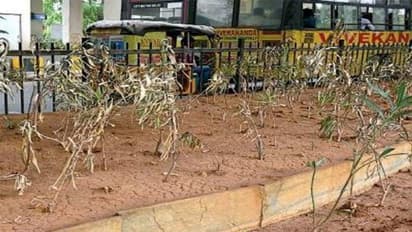 హరితహారం మొక్కలు కాపాడలేక...ఏకంగా పదవినే కోల్పోయిన సర్పంచ్