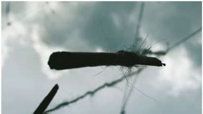 ലഹരിക്കെതിരെ പൊക, ഹ്രസ്വ ചിത്രം ശ്രദ്ധേയമാകുന്നു