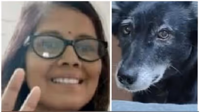 ഉടമസ്ഥയായ സ്ത്രീ മരിച്ചു, സങ്കടം സഹിക്കാനാവാതെ വളർത്തുപട്ടി നാലാം നിലയിൽ നിന്ന് ചാടി മരിച്ചു