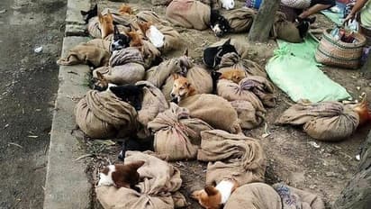 சீனாக்காரனை மிஞ்சிய நாகலாந்து...!! மோசமான கெட்டப் பழக்கத்திற்கு முற்றுப் புள்ளி வைத்த மாநில அரசு..!!