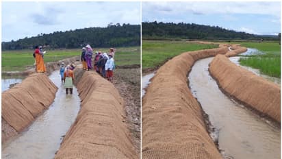 കാടുവെട്ടല് പഴങ്കഥ; തൊഴിലുറപ്പിന്റെ ഭാവം മാറി, മുഖം മിനുക്കി വയനാട്ടിലെ തോടുകള്