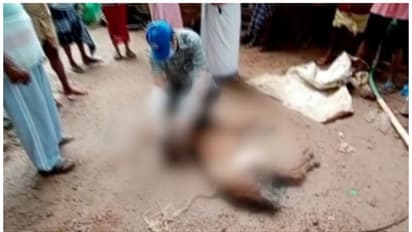 അജ്ഞാത ജീവിയെ ഭയന്ന് നാട്ടുകാര്; രണ്ട് ആടുകളെ കടിച്ചു കൊന്നു