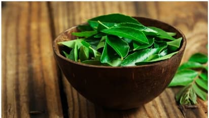 curry leaves