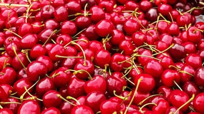 Weight loss to good sleep: Hidden benefits of cherries you should know
