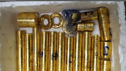 തിരുവനന്തപുരത്തെ സ്വർണ്ണക്കടത്ത്, യുഎഇ കോൺസുലേറ്റ് മുൻ പിആര്ഒ കസ്റ്റഡിയിൽ