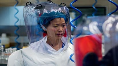 ಚೀನಾದಲ್ಲೇ ವೈರಸ್ ಸೃಷ್ಟಿ, ಸಿಕ್ತು ಹೊಸ ಸಾಕ್ಷ್ಯ: ತಜ್ಞರ ಸ್ಫೋಟಕ ವರದಿ!