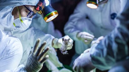 కరోనా వైరస్ మృతుడికి అంత్యక్రియలు: మానవత్వం చాటుకున్న డాక్టర్